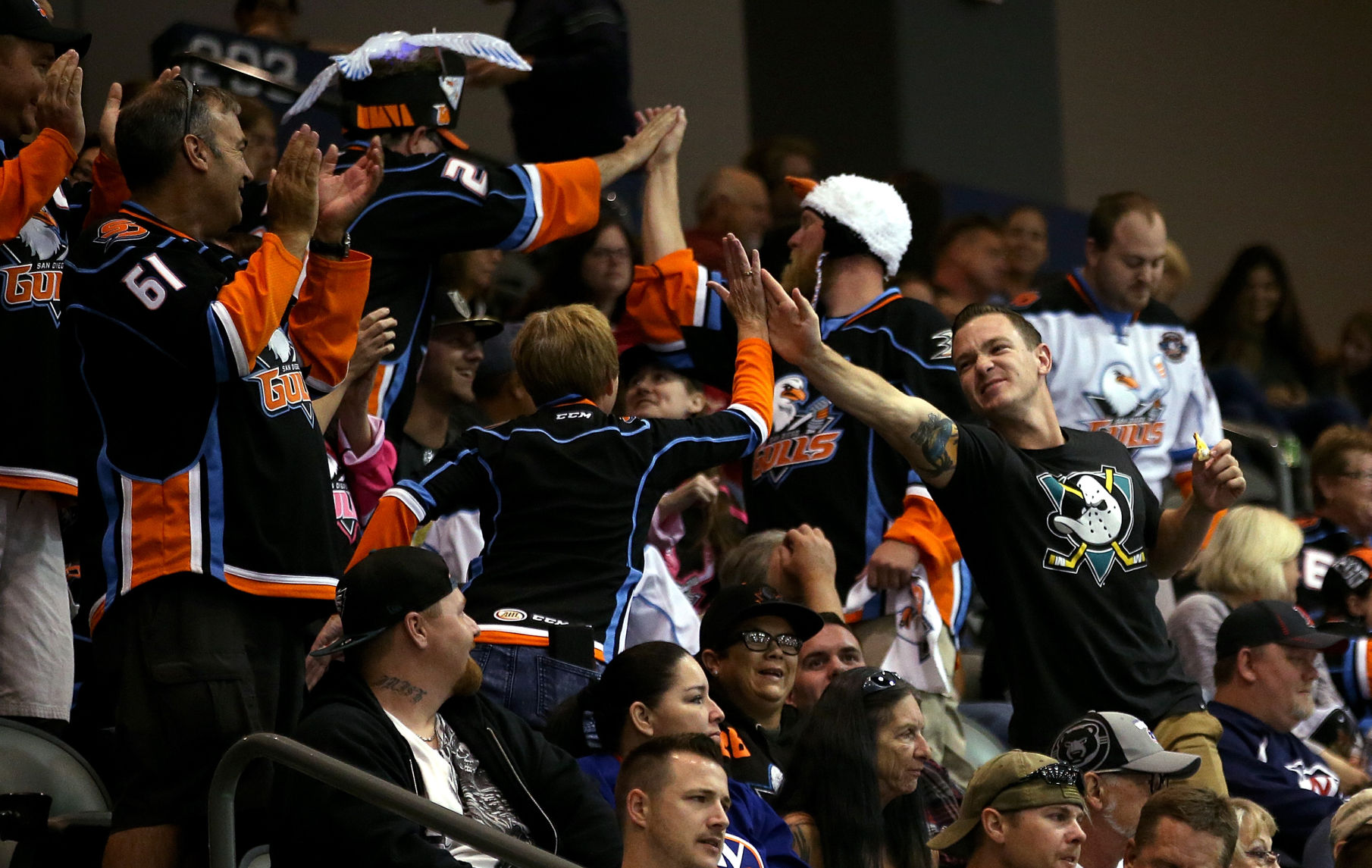 Tucson Roadrunners vs. San Diego Gulls AHL hockey